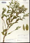 000034845-thumbnail.jpg