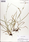 000037408-thumbnail.jpg