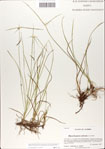 000037414-thumbnail.jpg