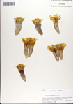 000037418-thumbnail.jpg