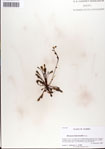 000037476-thumbnail.jpg