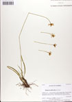 000037493-thumbnail.jpg