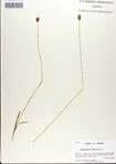000037494-thumbnail.jpg