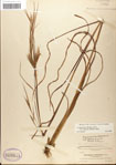 000039495-thumbnail.jpg