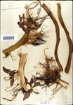000039535-thumbnail.jpg