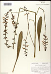 000039540-thumbnail.jpg