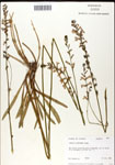 000039542-thumbnail.jpg