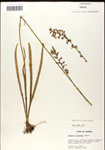 000039543-thumbnail.jpg