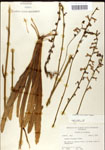 000039544-thumbnail.jpg