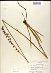 000039545-thumbnail.jpg