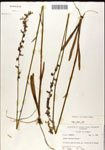 000039547-thumbnail.jpg