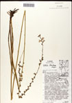 000039548-thumbnail.jpg