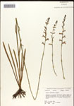 000039552-thumbnail.jpg