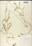 000039553-thumbnail.jpg