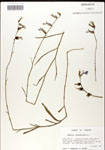 000039556-thumbnail.jpg