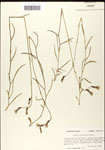 000039559-thumbnail.jpg