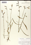 000039562-thumbnail.jpg