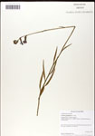 000039563-thumbnail.jpg