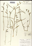 000039658-thumbnail.jpg