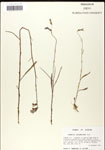 000039659-thumbnail.jpg