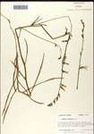 000039660-thumbnail.jpg