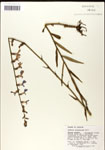 000039663-thumbnail.jpg