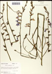 000039664-thumbnail.jpg