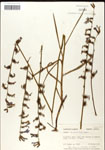 000039665-thumbnail.jpg