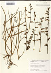 000039666-thumbnail.jpg