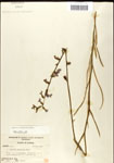 000039667-thumbnail.jpg