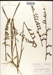 000039670-thumbnail.jpg