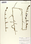 000039671-thumbnail.jpg
