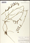 000039672-thumbnail.jpg