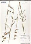 000039677-thumbnail.jpg