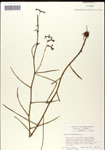 000039678-thumbnail.jpg