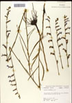 000039679-thumbnail.jpg