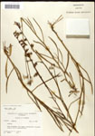 000039680-thumbnail.jpg