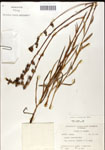 000039682-thumbnail.jpg