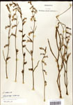 000039683-thumbnail.jpg