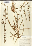 000039684-thumbnail.jpg