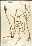 000039685-thumbnail.jpg