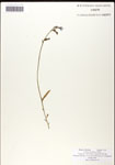 000039689-thumbnail.jpg