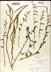 000039693-thumbnail.jpg