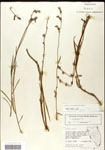 000039694-thumbnail.jpg