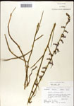 000039695-thumbnail.jpg