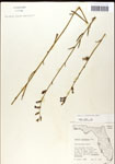 000039697-thumbnail.jpg