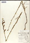 000039701-thumbnail.jpg