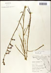 000039702-thumbnail.jpg