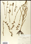 000039705-thumbnail.jpg