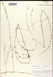000039711-thumbnail.jpg
